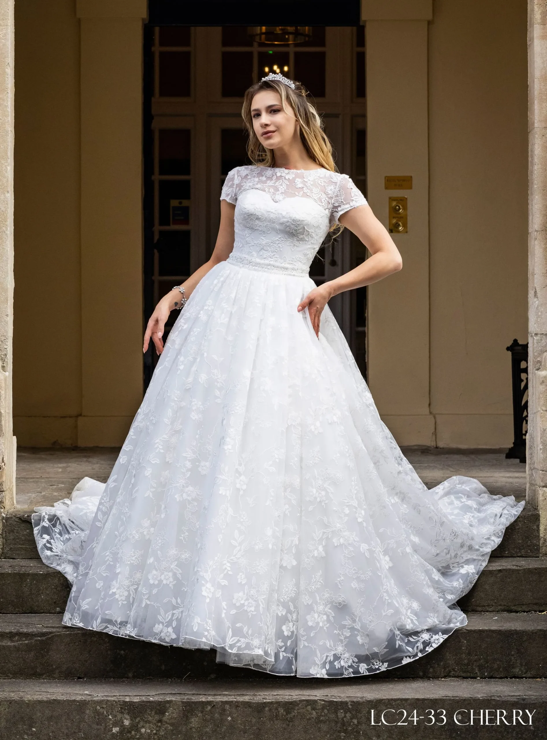 LC24-33 Princess Ball Gown Lace Wedding Dress - Image 4